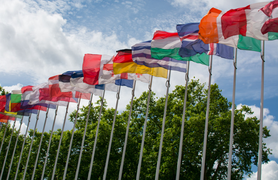 Luise in der Parlamentarischen Versammlung des Europarates