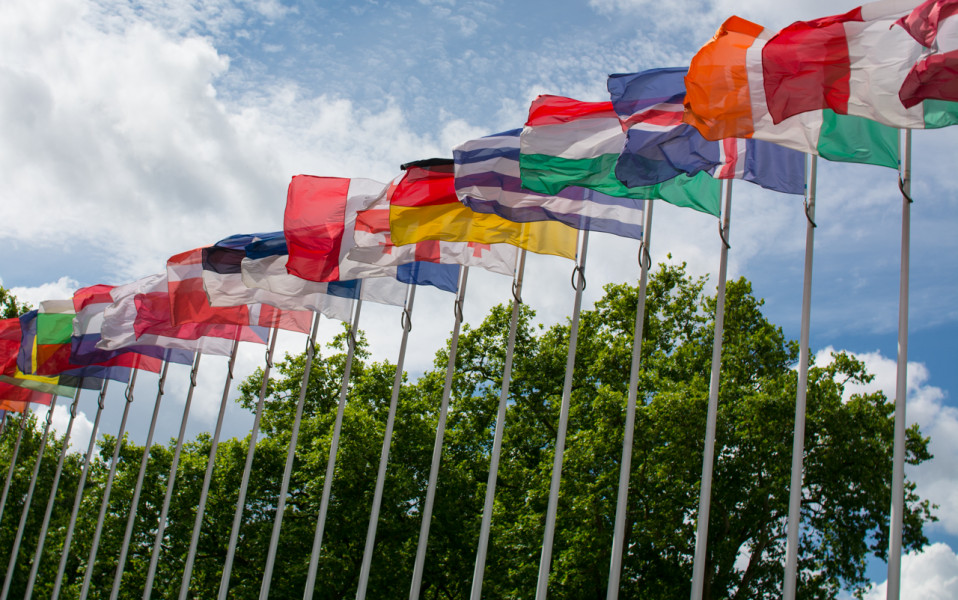 Luise in der Parlamentarischen Versammlung des Europarates